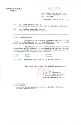 [Carta del Jefe de Gabinete de la Presidencia a Director de Comisión Especial de Pueblos Indígenas]