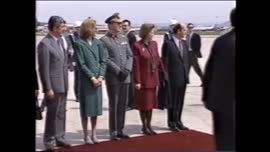Presidente Aylwin llega al aeropuerto en España : video