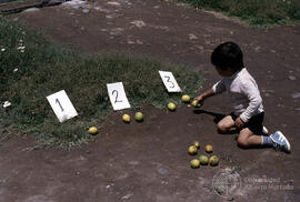 Niño aprendiendo los números con limones