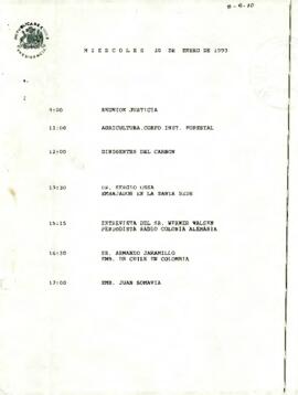 Programa Miércoles 20 de Enero de 1993.