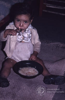 Niño pequeño comiendo de un plato en el suelo
