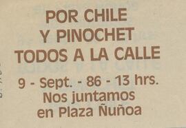 Por Chile y Pinochet todos a la calle