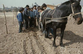 Grupos de niños con arado impulsado por caballo