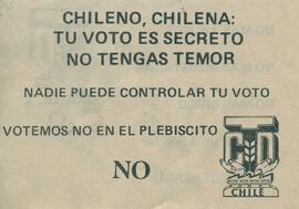 Chileno, chilena: tu voto es secreto no tengas temor, nadie puede controlar tu voto