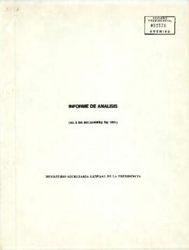 Informe de Análisis (al 6 de diciembre de 1991)