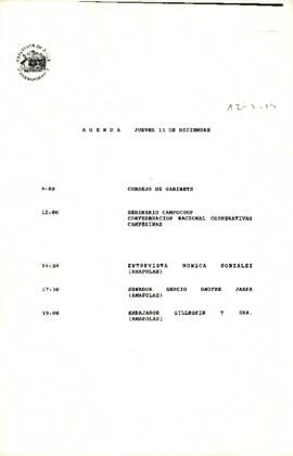 Agenda del 13 de Diciembre de 1990