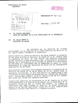 Memorandum N° 1A/447