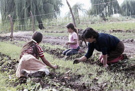 Mujer junto a dos niñas limpiando malezas de cultivos