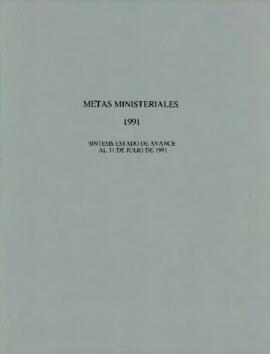 Metas ministeriales 1991: síntesis de estado de avance al 31 de junio de 1991