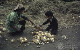Niño contando con zapallos y cebollas